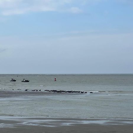 Plage A 50M Appartement Reves Ensoleilles Villa Les Bains De Mers Eksteriør billede