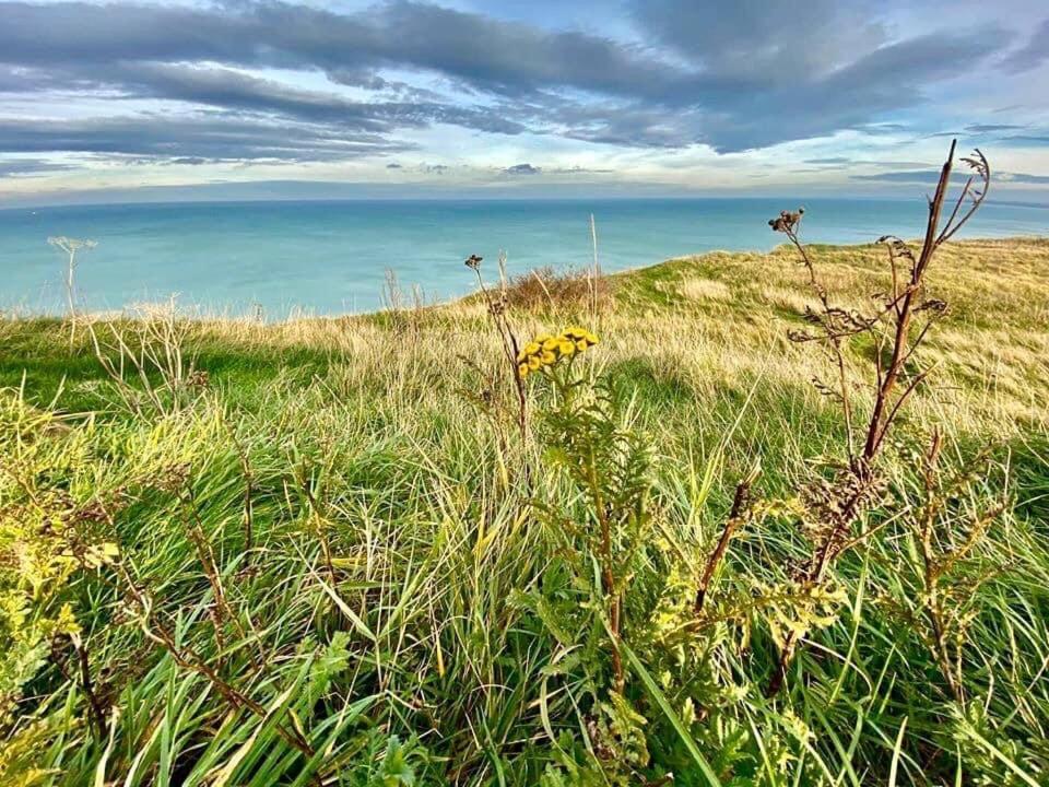 Plage A 50M Appartement Reves Ensoleilles Villa Les Bains De Mers Eksteriør billede