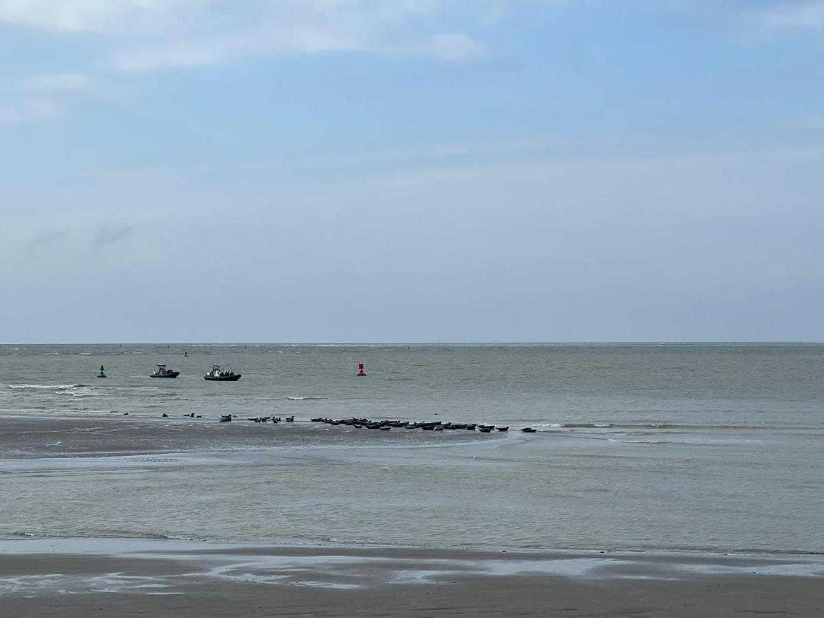 Plage A 50M Appartement Reves Ensoleilles Villa Les Bains De Mers Eksteriør billede