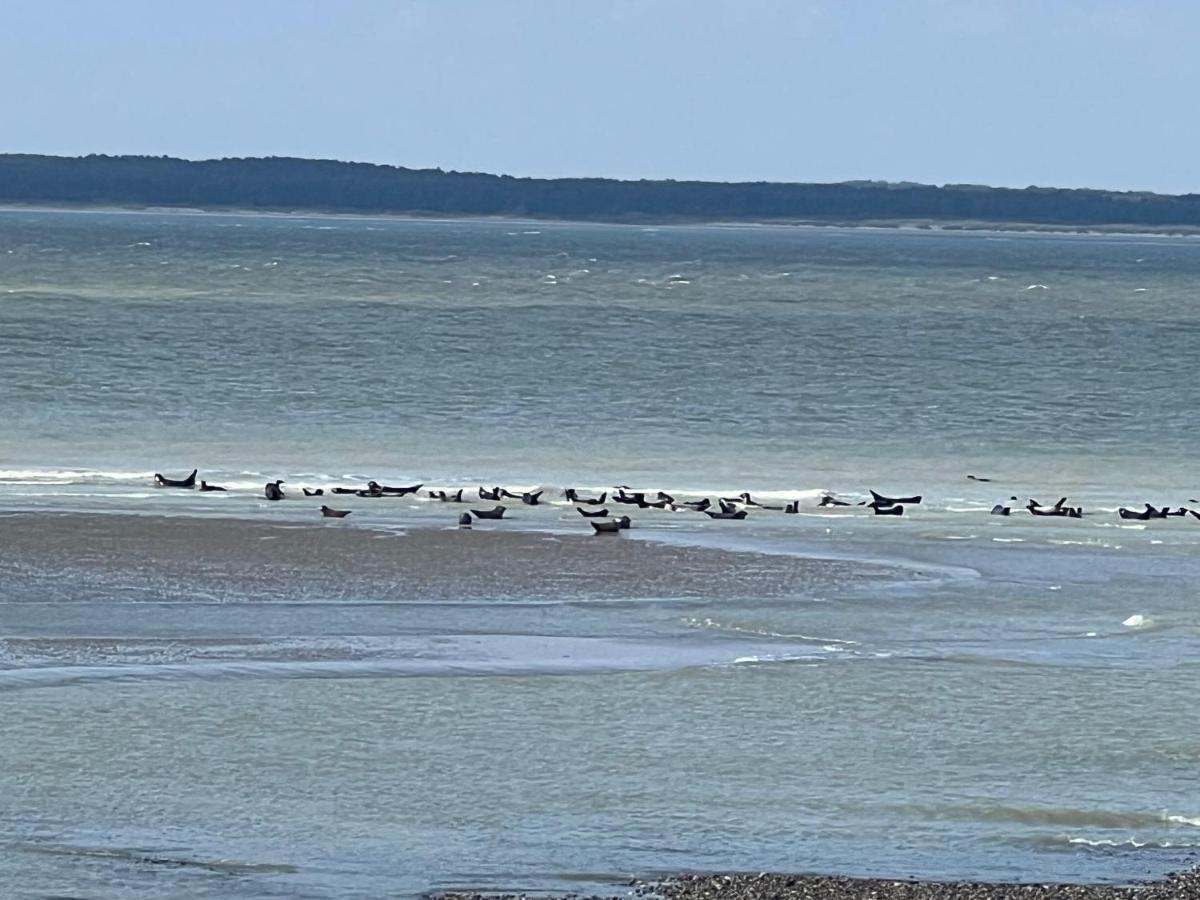 Plage A 50M Appartement Reves Ensoleilles Villa Les Bains De Mers Eksteriør billede